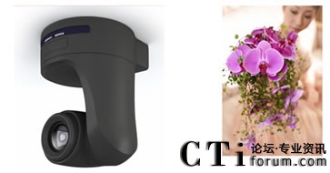 �������^���r��������